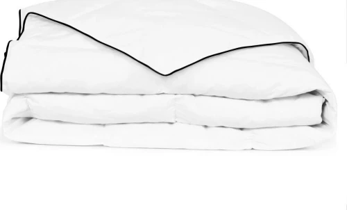 vidaXL Πάπλωμα Διπλό Πουπουλένιο 200x200