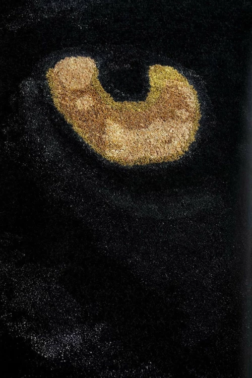 Carpet Couture Χαλί Hypnose Black 200x300cm