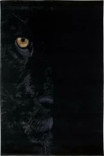 Carpet Couture Χαλί Hypnose Black 200x300cm