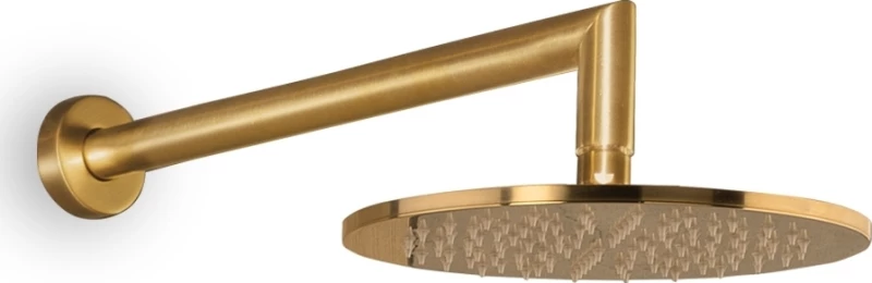 Eurorama Eletta Chester Κεφαλή Ντουζ με Βραχίονα Brushed Gold