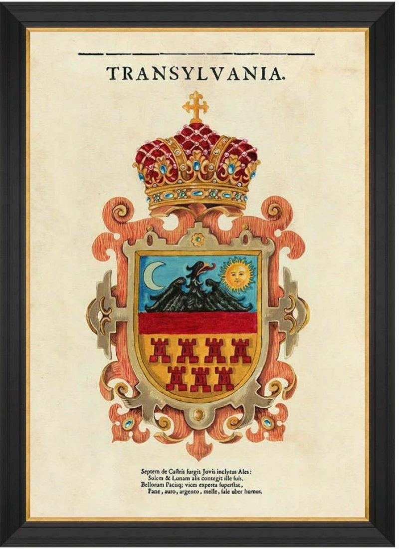Κάδρο Transylvania Saxon Crest FA13268 70x100cm Multi MindTheGap Κάθετοι Ξύλο