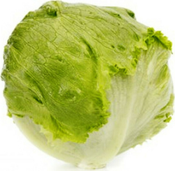 Σπόροι Μαρουλιού SIBERINAS RZ 5000 seeds