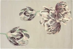 Ted Baker Χαλί Tranquility Beige 140x200cm