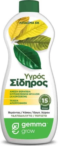 Χηλικός σίδηρος 300ml