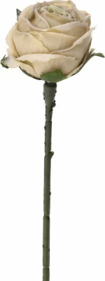 Κρεμ Τριαντάφυλλο Με Κλαδί 30cm - 28973992