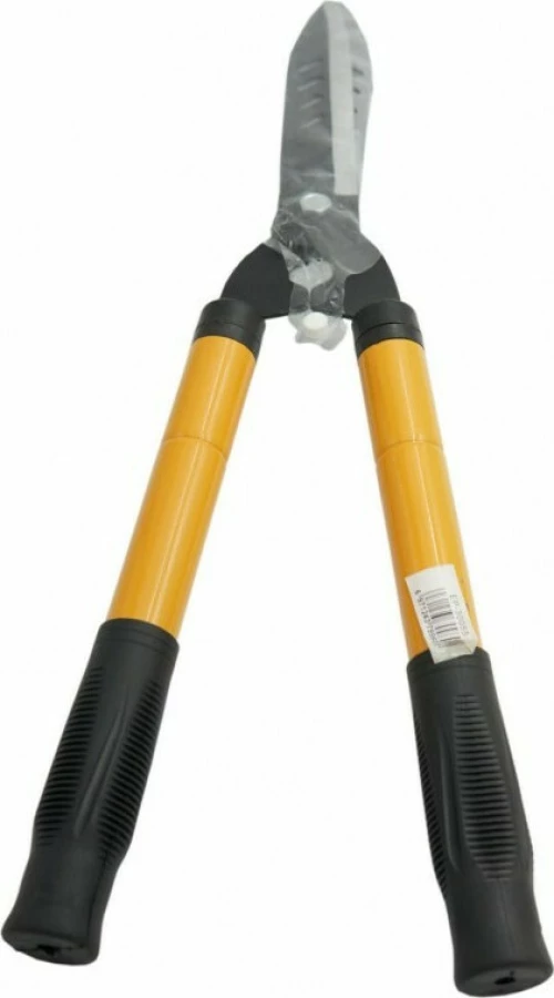 Epica Star EP-30055