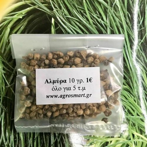 Αλμύρα 10 γρ.