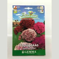 Γαρύφαλλο Ποιητών Διπλό