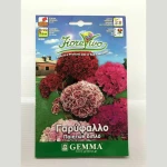 Γαρύφαλλο Ποιητών Διπλό
