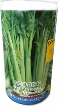 Σπόρος σέλινο Φύλλα 500 gr