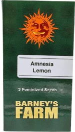 Barneys Farm - Amnesia Lemon - 3 seeds