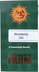 Barneys - Blueberry OG - 3 seeds