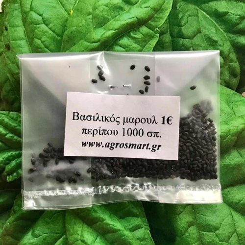 Βασιλικός μαρουλόφυλλο 5 γρ.