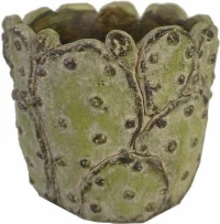 Κασπώ Κάκτος JOE220 14x12cm Green Espiel Τσιμέντο