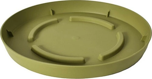 Plastona Olive Green 10.01.00C20OG