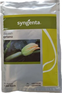 Syngenta Κολοκύθι "Ortano F1" | 1.000 σπόροι