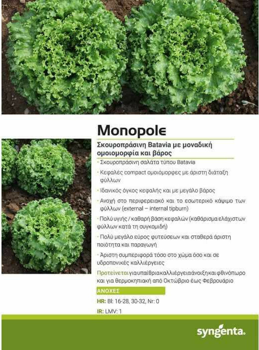 Σπόροι Μαρούλι Monopole 5000sd