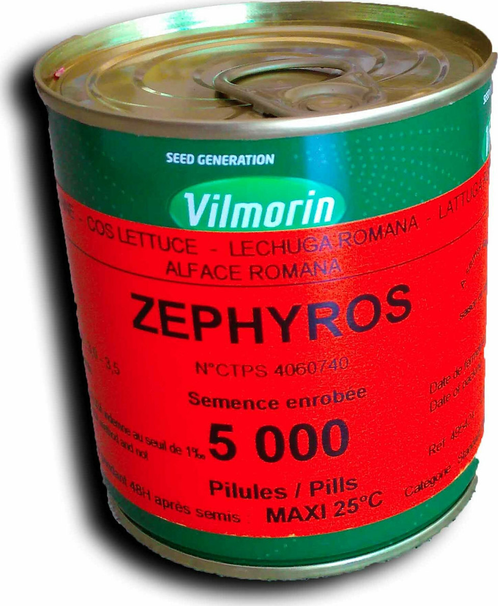 Σπόροι Μαρούλι Zephyros 5000 σπ.