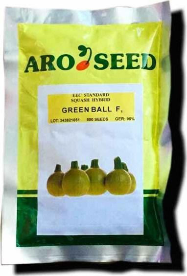 Σπόροι Κολοκυθιού GREEN BALL F1