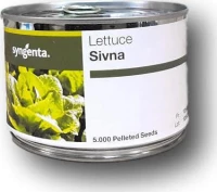 Σπόροι Μαρούλι Sivna 5000sd