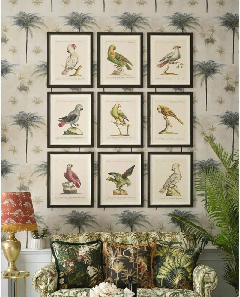 Κάδρο Parrots Of Brasil I FA13211 40X50 MindTheGap Οριζόντιοι Ξύλο