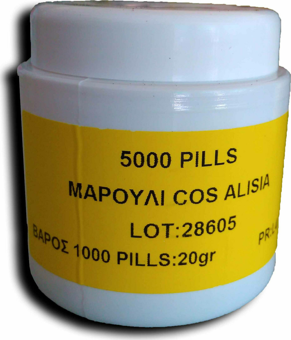 Σπόροι Μαρούλι Αlisia 5000 σπ.