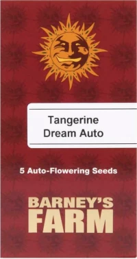Barneys Farm - Tangerine Dream - 5 seeds