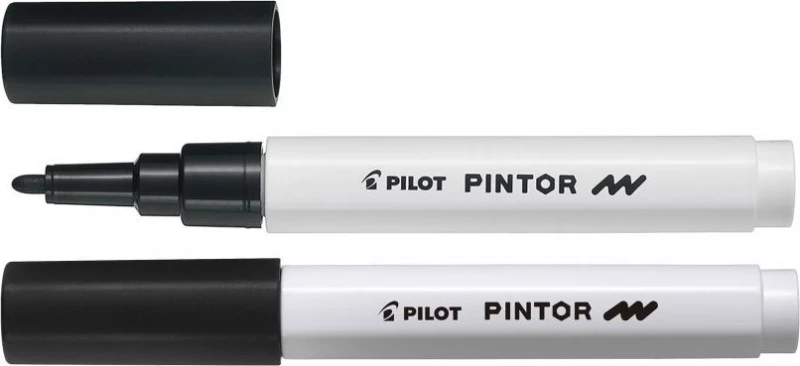 Pilot Pintor Fine 1mm Black