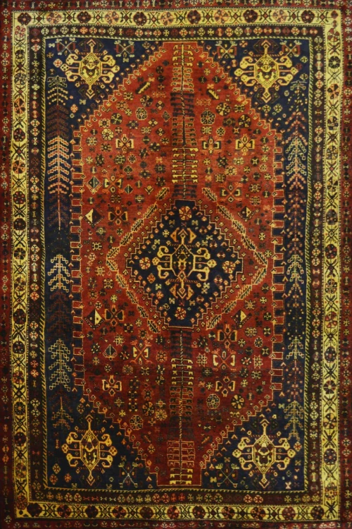 Χειροποίητο Χαλί Shiraz 56331/73 258X160 258X160cm
