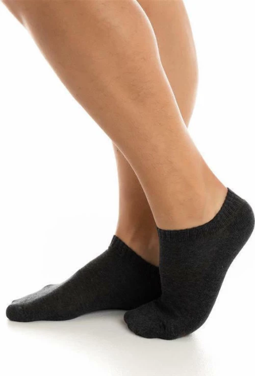 Inizio 4808 Dark Grey