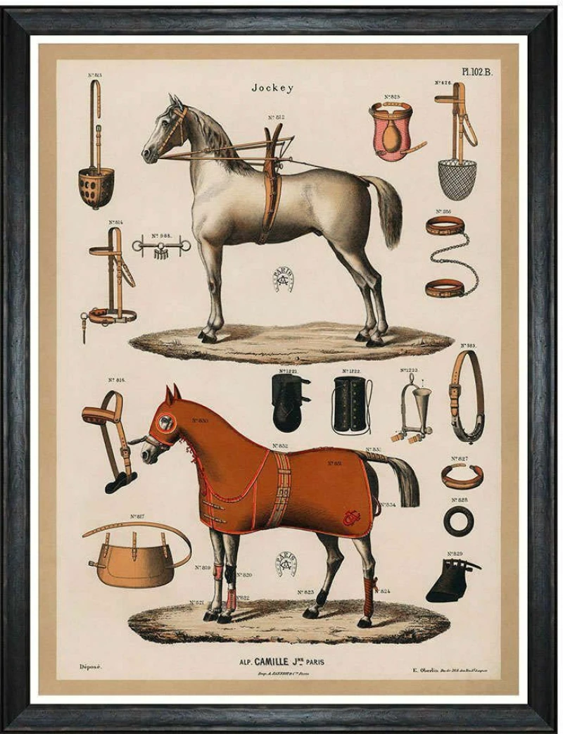 Κάδρο The Riding Equipment I FA13265 60x80cm Multi MindTheGap Κάθετοι Ξύλο