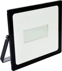 Spot Light Προβολέας 50W 6239