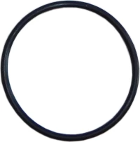 Proteas Filter O-ring για Φίλτρα Νερού EW-022-0198