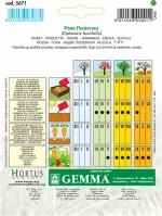 Gemma Ρόκα Στενόφυλλη Πικάντικη 5671