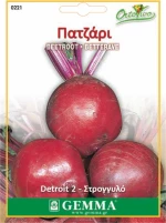 Gemma Πατζάρι Detroit 2 - 0221