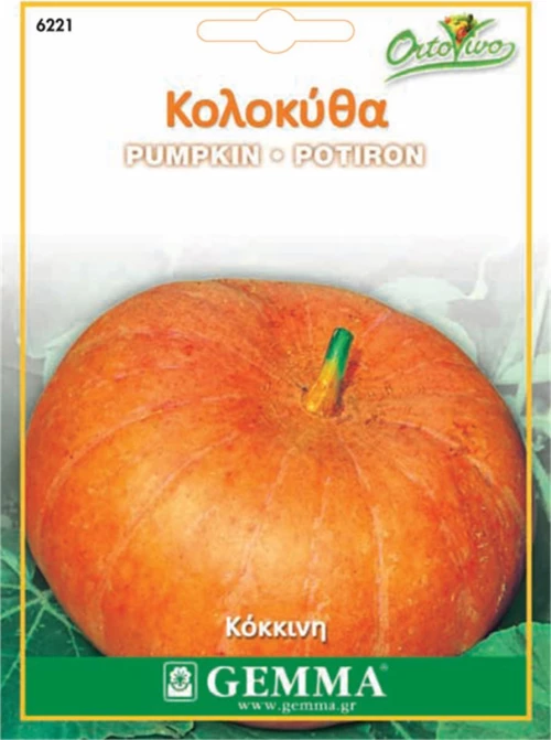 Gemma Κολοκύθα Στρογγυλή Πορτοκαλί 6221