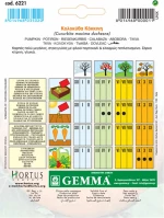 Gemma Κολοκύθα Στρογγυλή Πορτοκαλί 6221