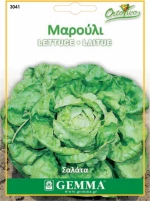Gemma Μαρούλι Σαλάτα 3041
