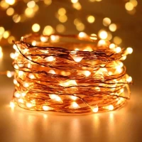 100 led με χάλκινο καλώδιο, και 8 προγράμματα φωτισμού, 24V IP44 Λευκό extra θερμό φως 10m W/FW