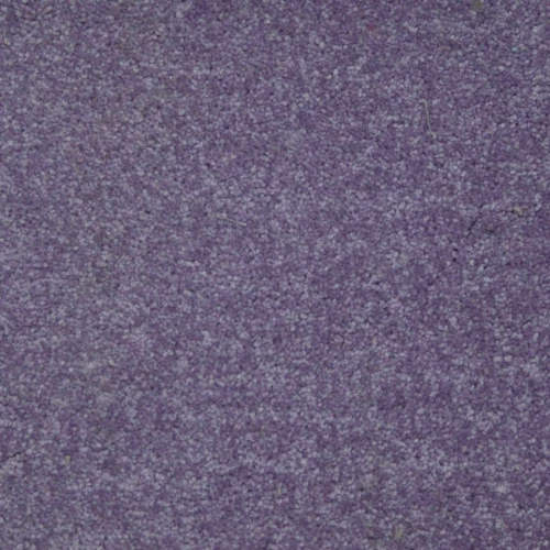 Μοκέτα Kings 113 Purple 400X...