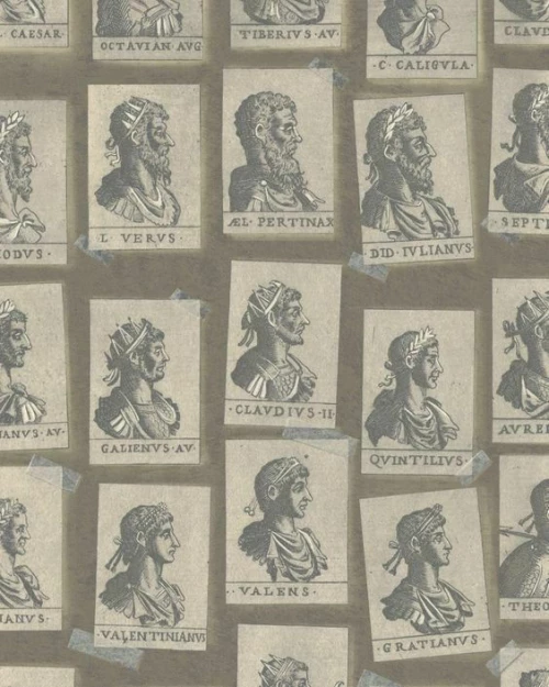 Ταπετσαρία Τοίχου Emperors Taupe 300x52cm