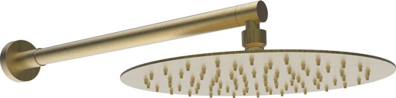 Armando Vicario Industrial Κεφαλή Ντουζ με Βραχίονα Brushed Gold