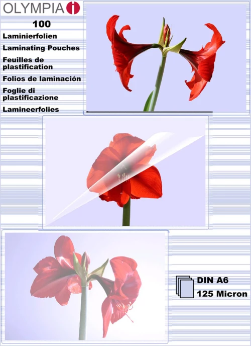 Olympia Din A6 125 Micron Φύλλα ΠΛαστικοποίησης 100 Τμχ.