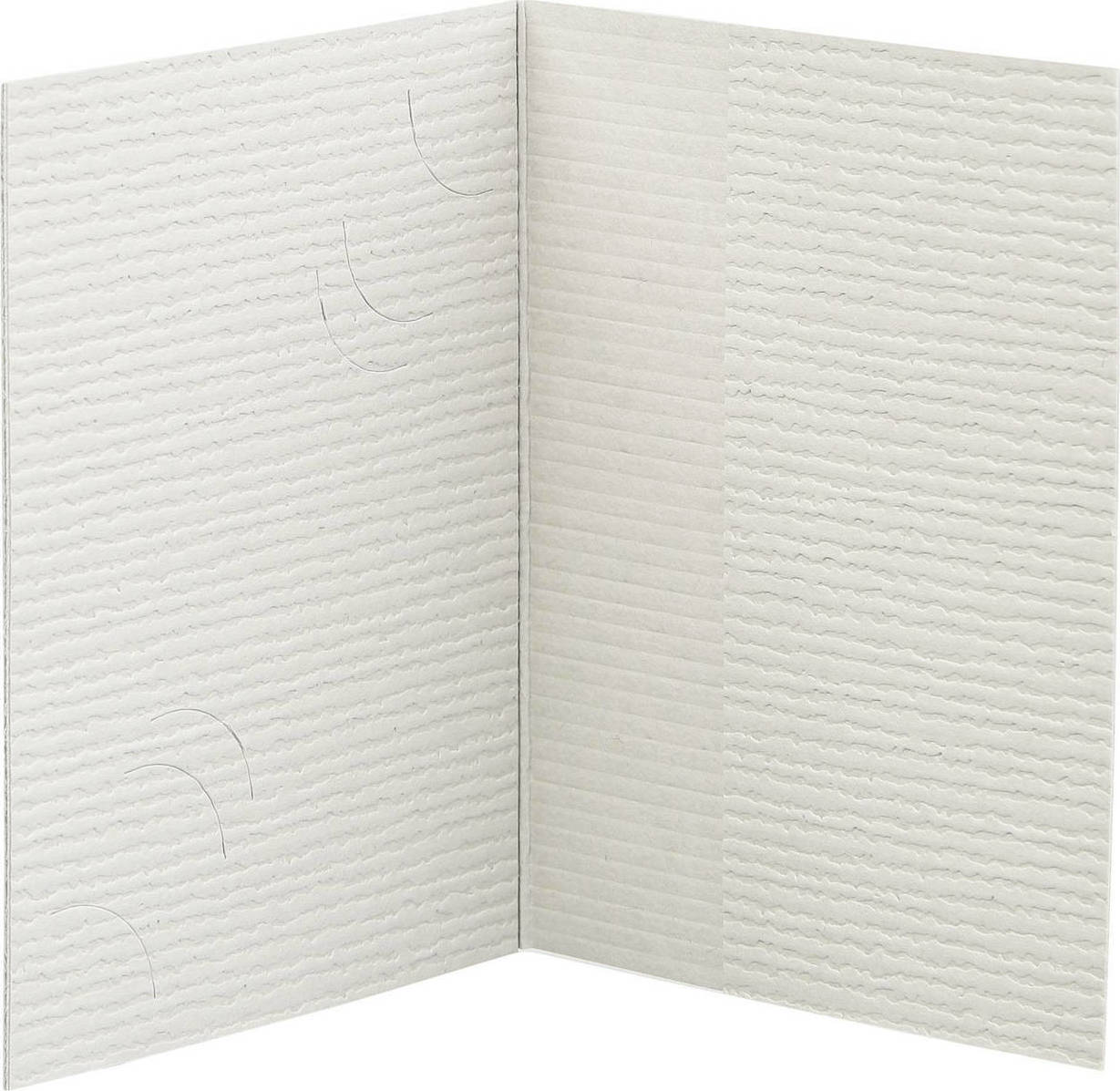 Daiber Folder Passport Photograph