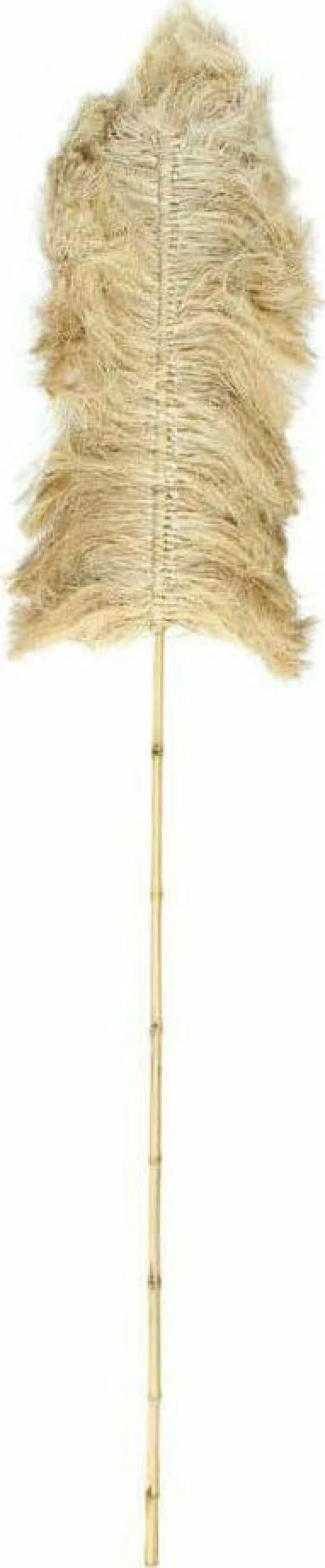 Διακοσμητικό Φύλλο Raffia Palmeira BAJN117N 40x200 Natural Bazar Bizar Bamboo