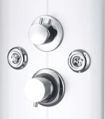 vidaXL Στήλη Υδρομασάζ 142994