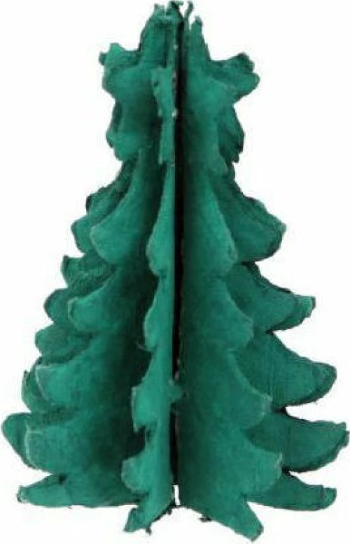 Δέντρο Βαμβακερό 12.5cm Κυπαρισσί