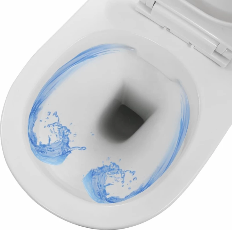 vidaXL 145237 Λεκάνη Κρεμαστή Soft Close