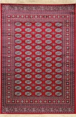 Newplan Χαλί 248/301220 100x140cm