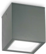 Ideal Lux Εξωτερικό Φωτιστικό Οροφής Γκρι 251516